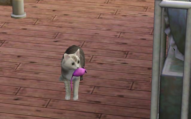 Screenshot-17