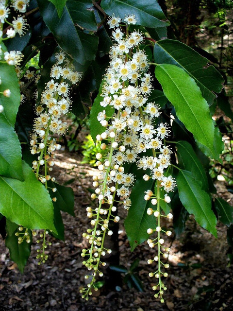 P1140521