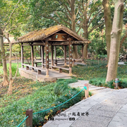 太子湾公园5