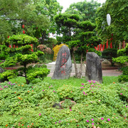 DSC00228