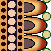 04f795fca4d2706ccfad9d19208f70d3