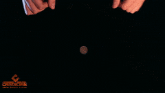 Limp-Fat-Coney-max-1mb.gif