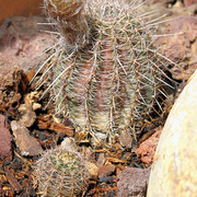 IMG-9020