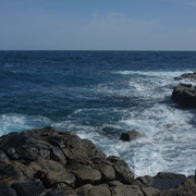 DSCF8178