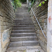 IMG-2319