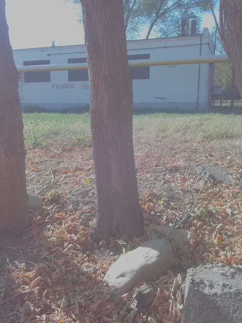 Exif JPEG 420.jpg