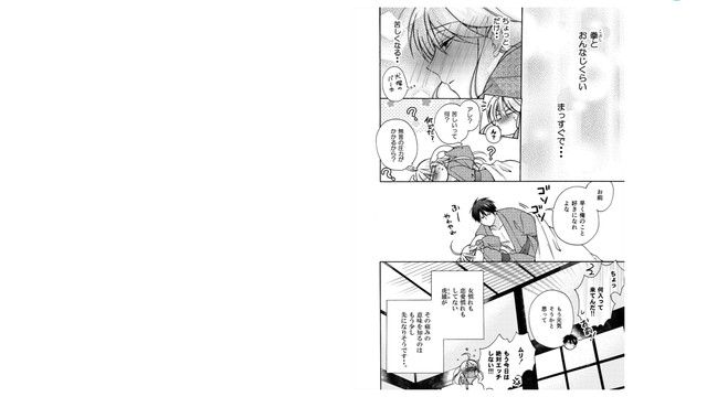 DLRAW-NET-06