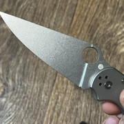 https://i.ibb.co/t8fJ5fj/IMG-2667.jpg