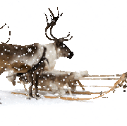 neige2-3