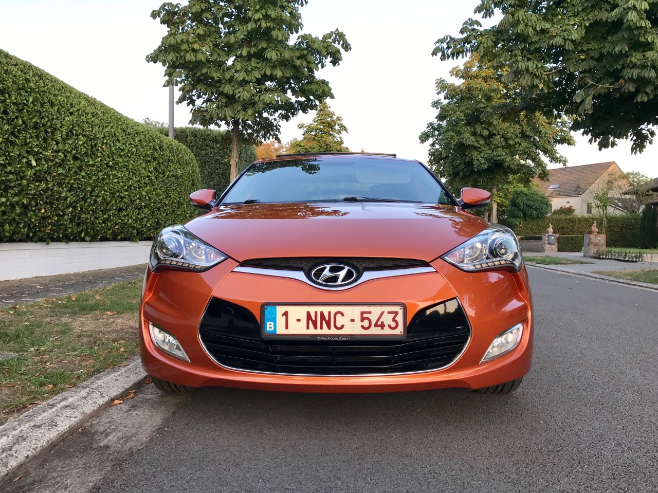 veloster20192.jpg