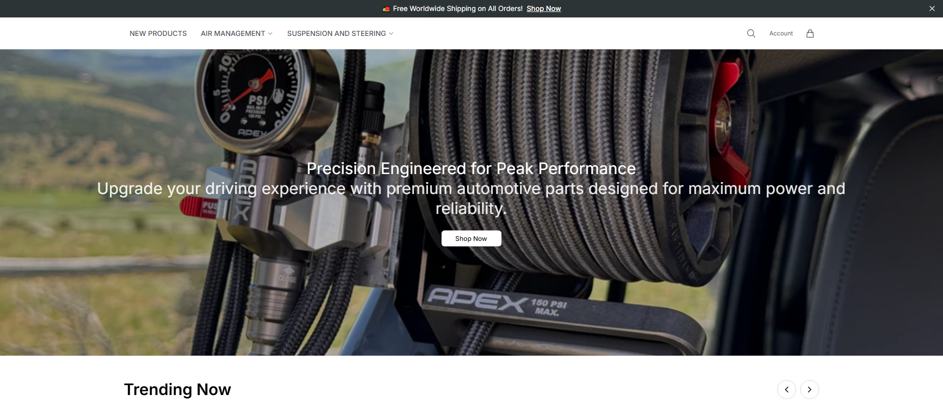 Stored capture of apexdesignsusaauto.shop