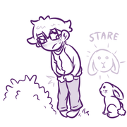 gossip bunny