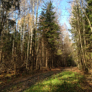 IMG-4353