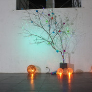 IMG-9759