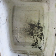 IMG-6088