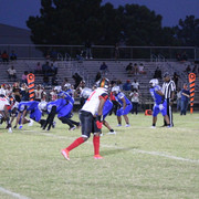IMG-0476