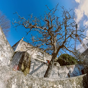 IMGP8195