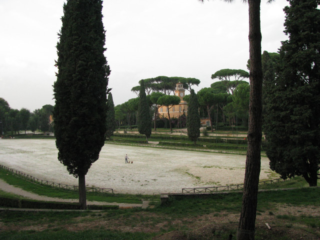 IMG-8807.jpg