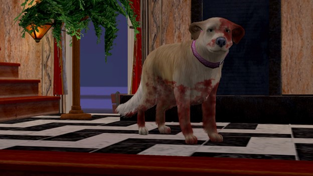 zzw-Ch24-P2.png