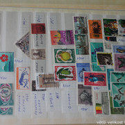 IMG-3729