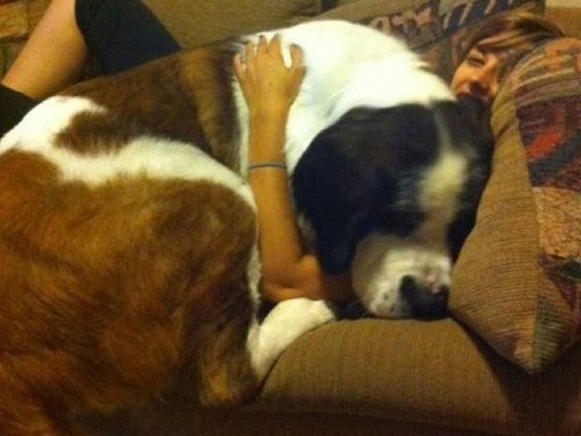big-dogs-24.jpg