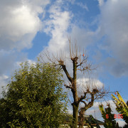 2008-12-06-057