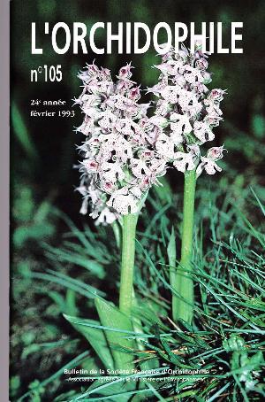 orchido105.jpg?042148