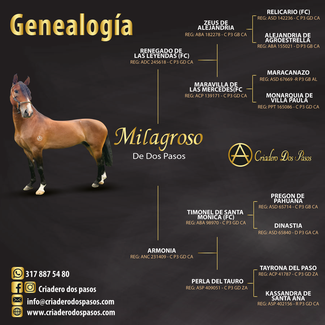 Genealog-a-Milagroso