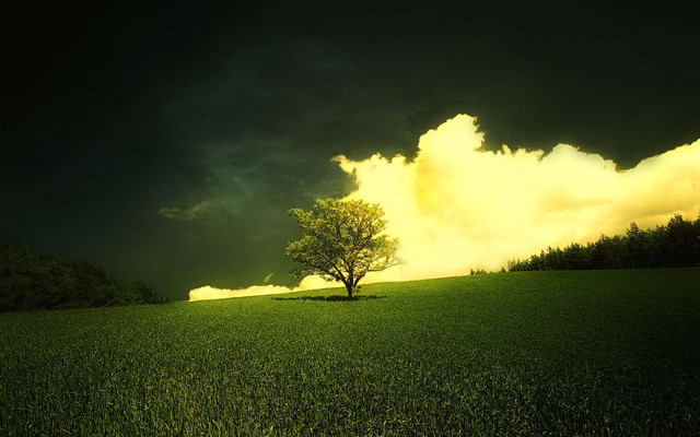 Green-Tree
