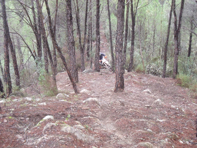 DSCF1234.jpg