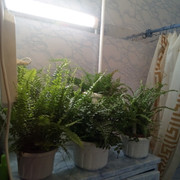 IMG-20231005-200041