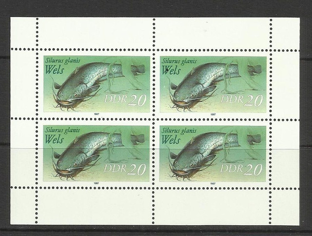 11b