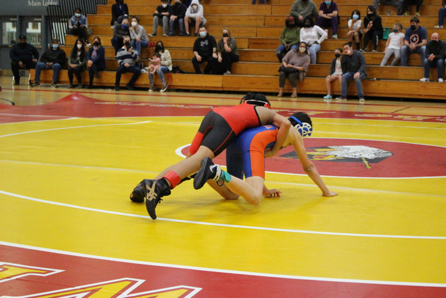 IMG-0025