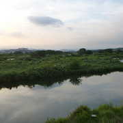 P1350157