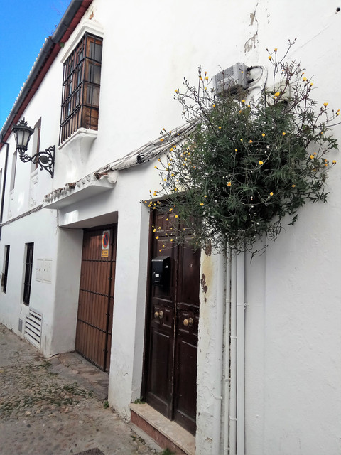 IMG-20190111-115202