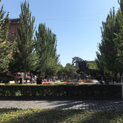 IMG-1623