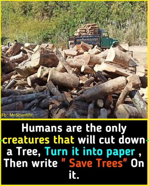fact2