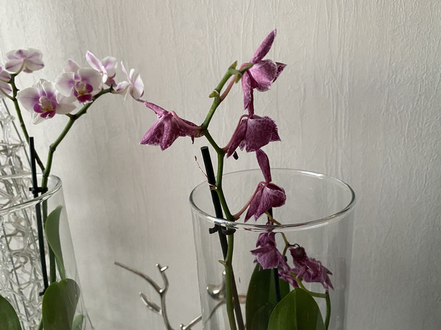 3-E871-D32-5801-4-A35-9287-311-B451-EC55