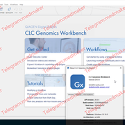 CLC Genomics Workbench 26 0 6