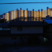 2009-03-16-31