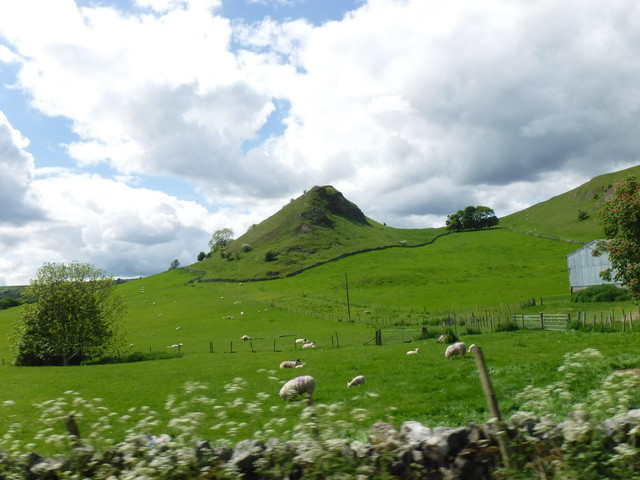 DSCF6069.jpg