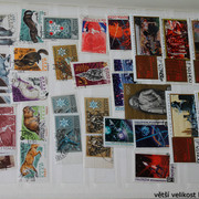 IMG-3029