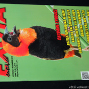 IMG-7781