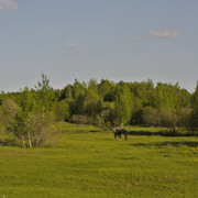 DSC3486