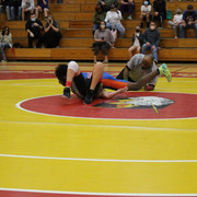 IMG-0329