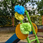 pic-5