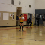 IMG-0146