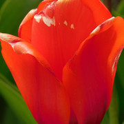 DSCN0257