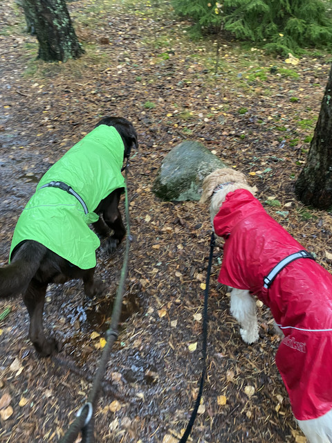 C3-FCDC1-E-434-F-46-D6-8445-52-F3-AAFFAB