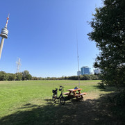 IMG-1564
